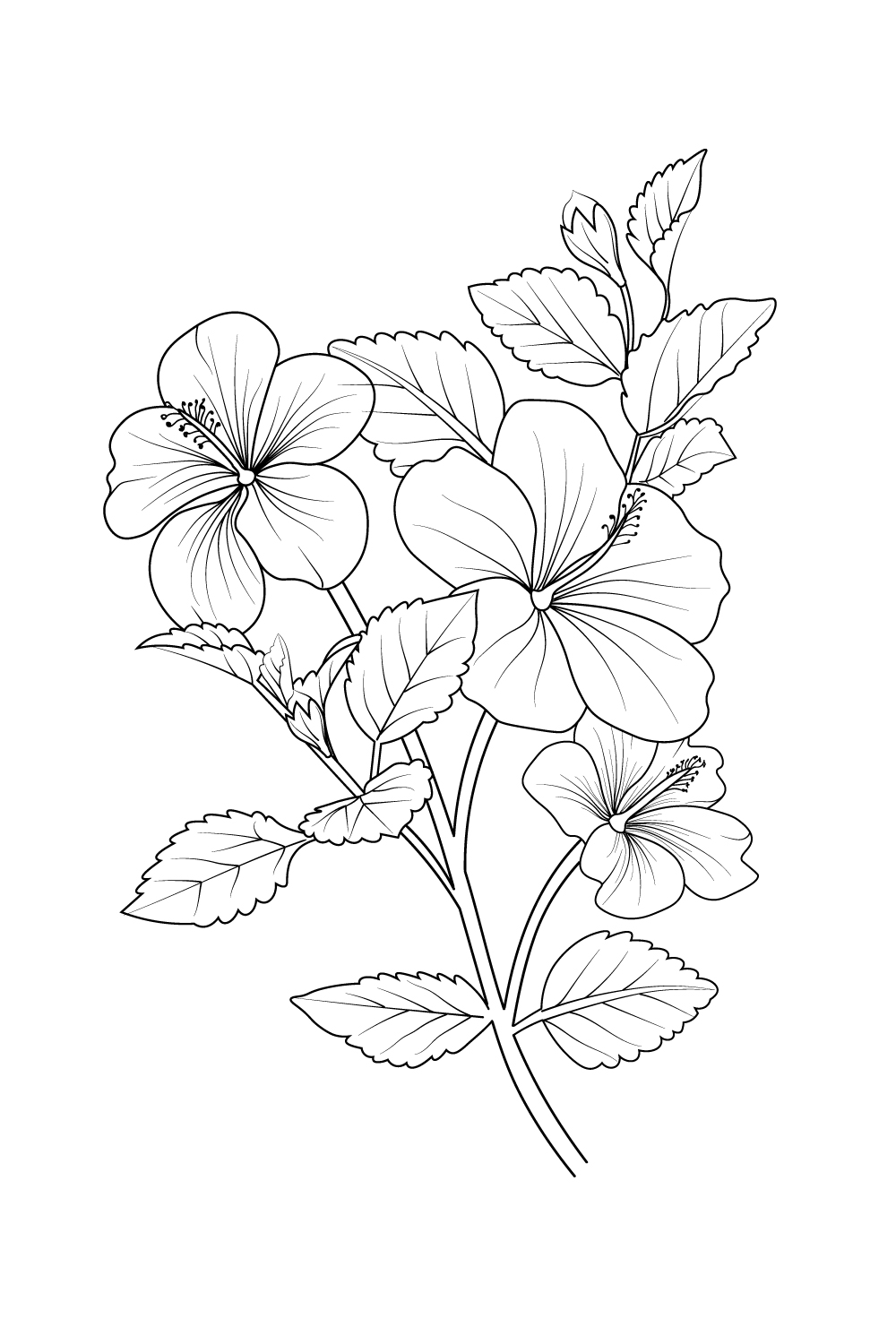 Isolated hibiscus hand