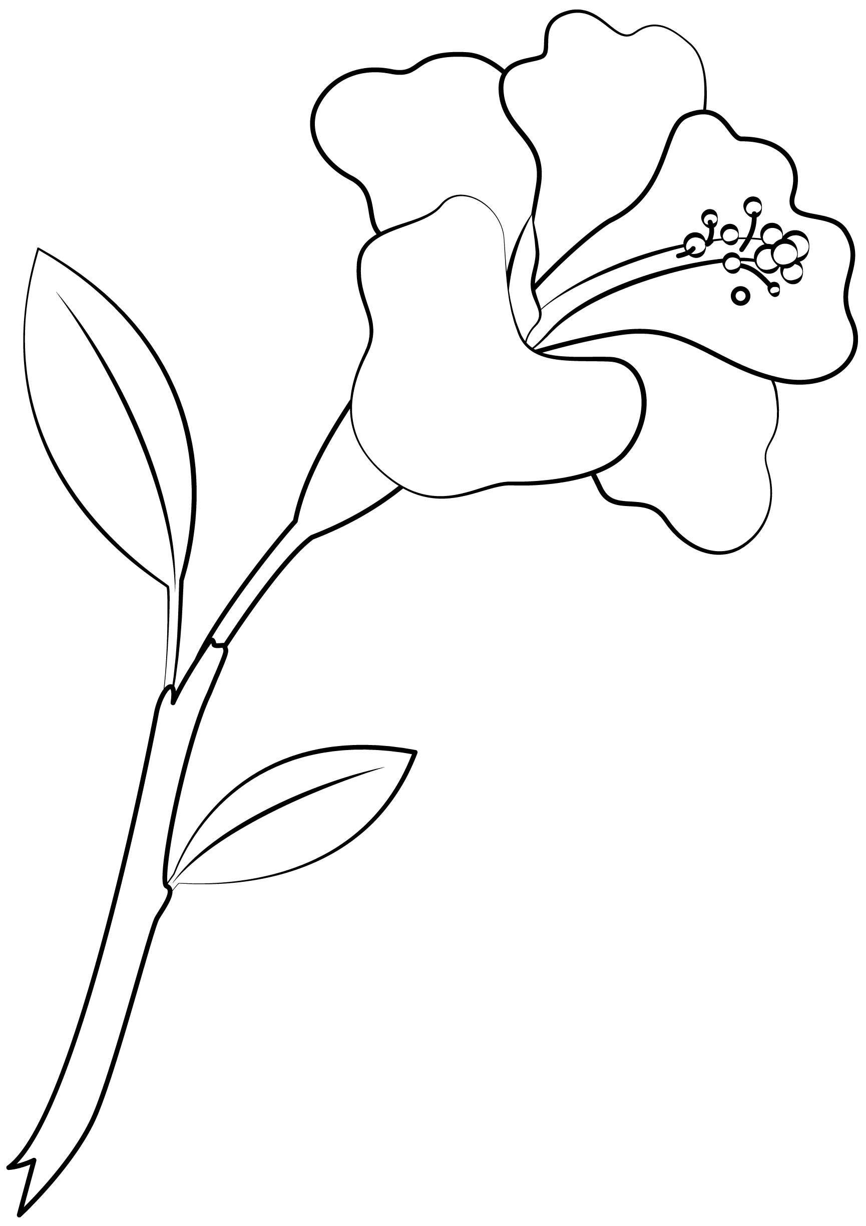 Hibiscus flower printable template free printable papercraft templates