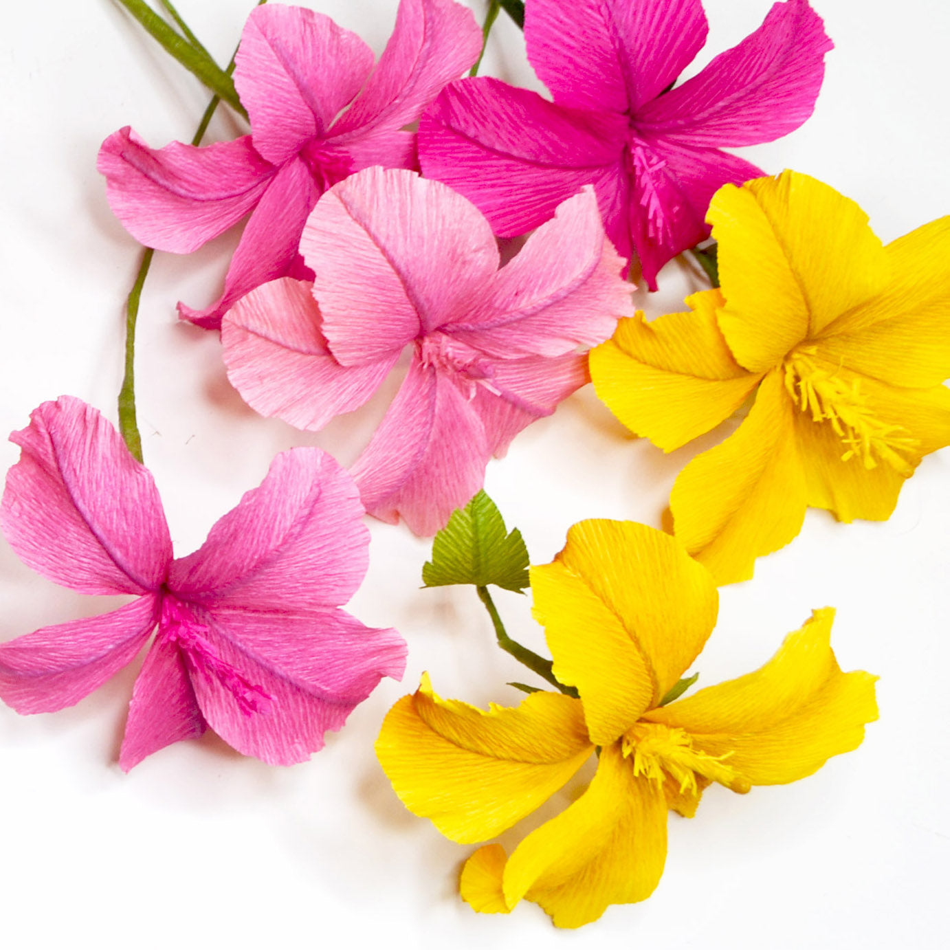 Paper hibiscus template â ta muchly paper blooms