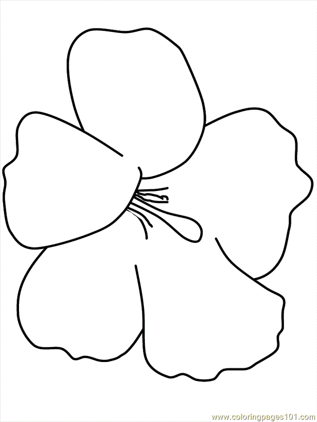 Â