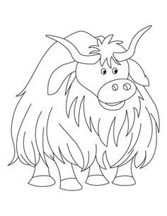 Image result for highland cow colouring page animal coloring pages coloring pages cute coloring pages