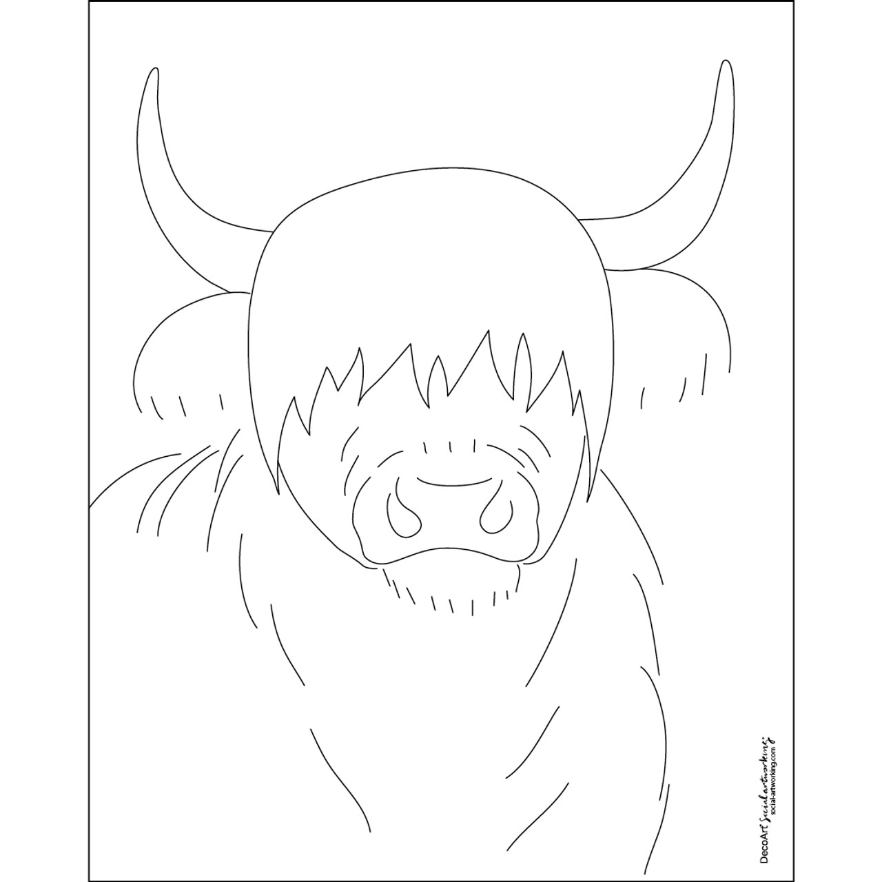 Highland cow