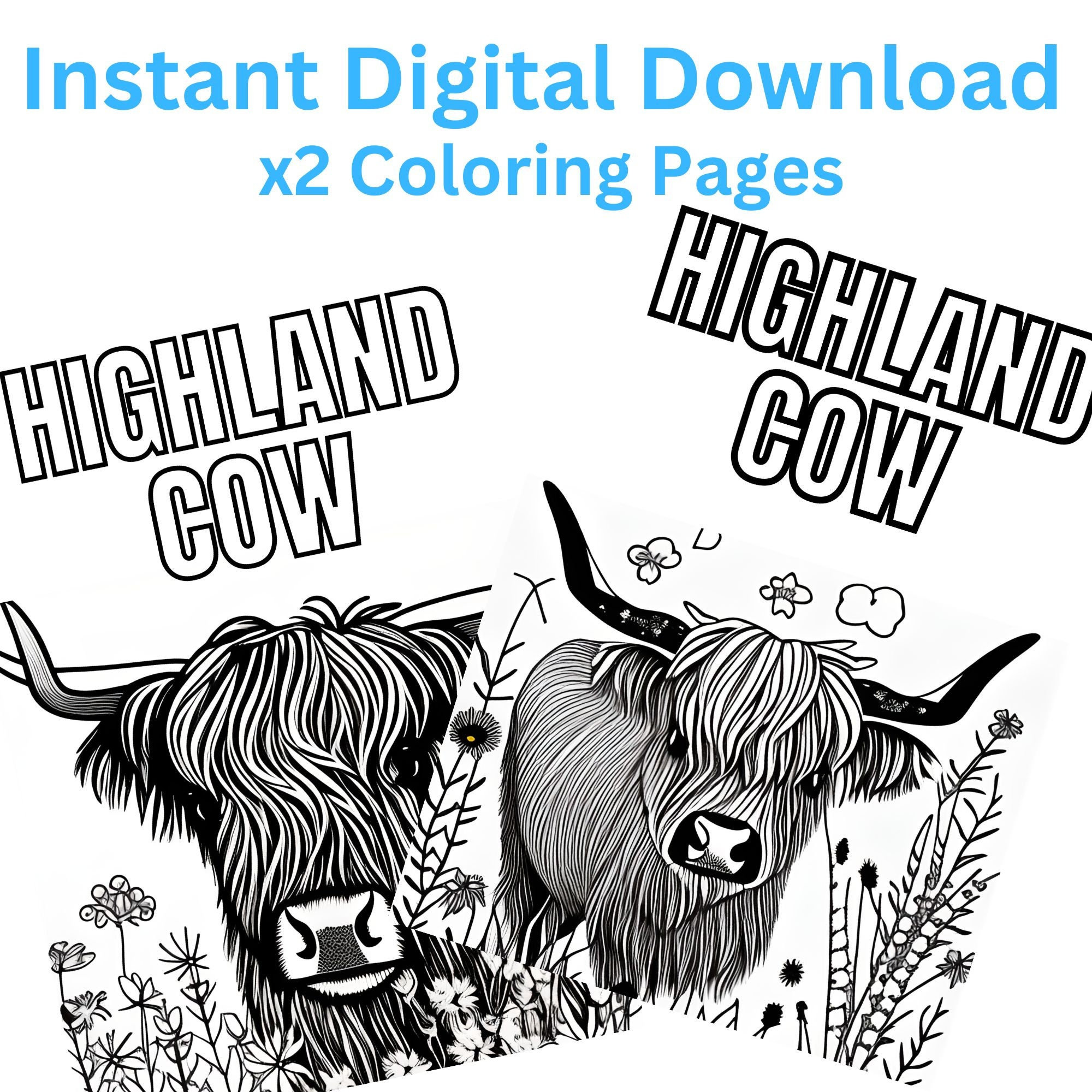 Highland cow coloring pages pdf printable