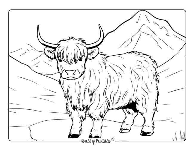 Cow coloring pages for kids adults