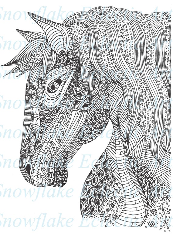 Diy coloring page instant pdf digital download printable coloring page horse equine adults children