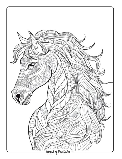Horse coloring pages for kids adults