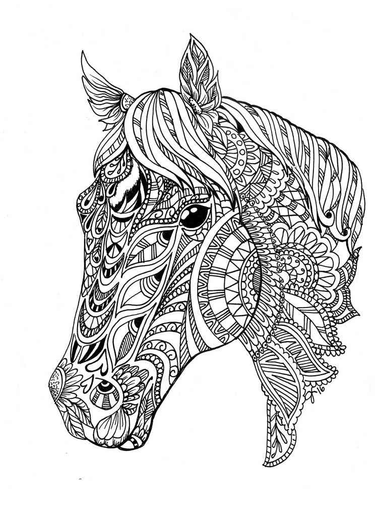 Horse coloring pages for adults
