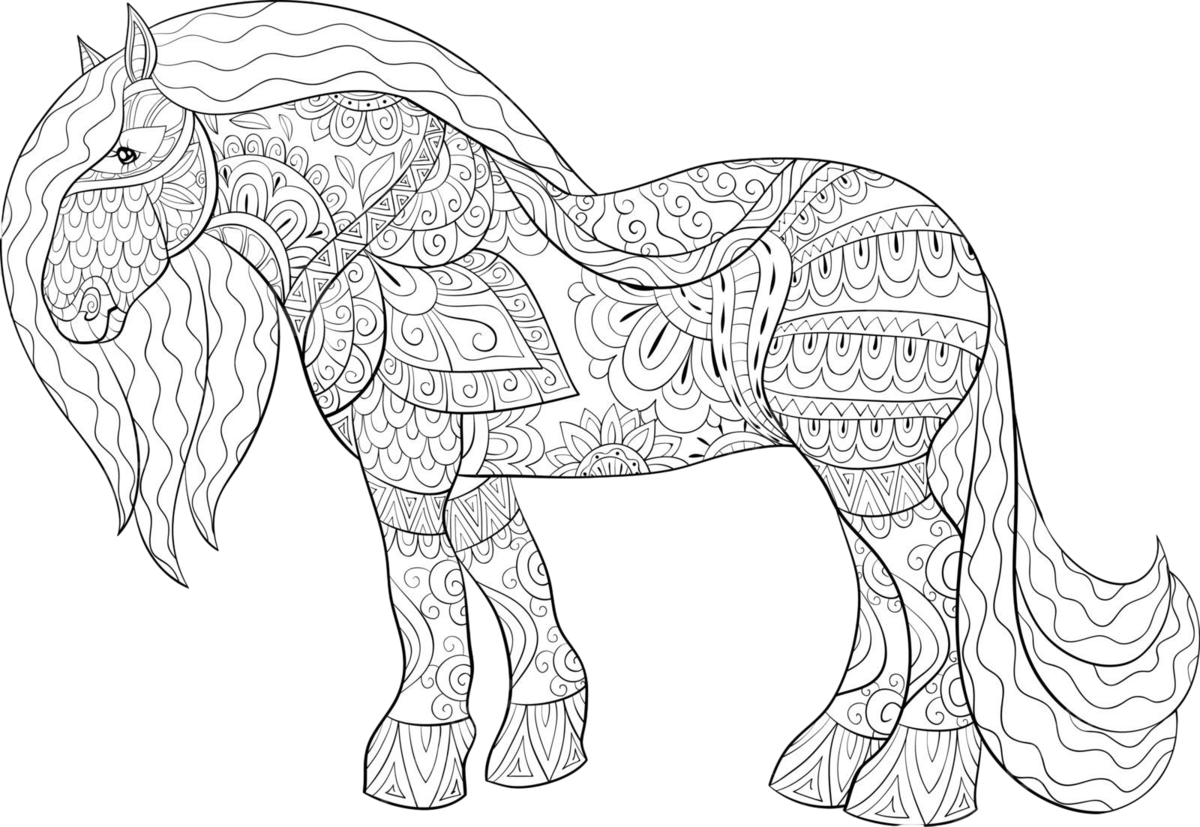 A zen art horse image on a page of an adult coloring book to relax vector poster print image png and vector with transparent background for free download