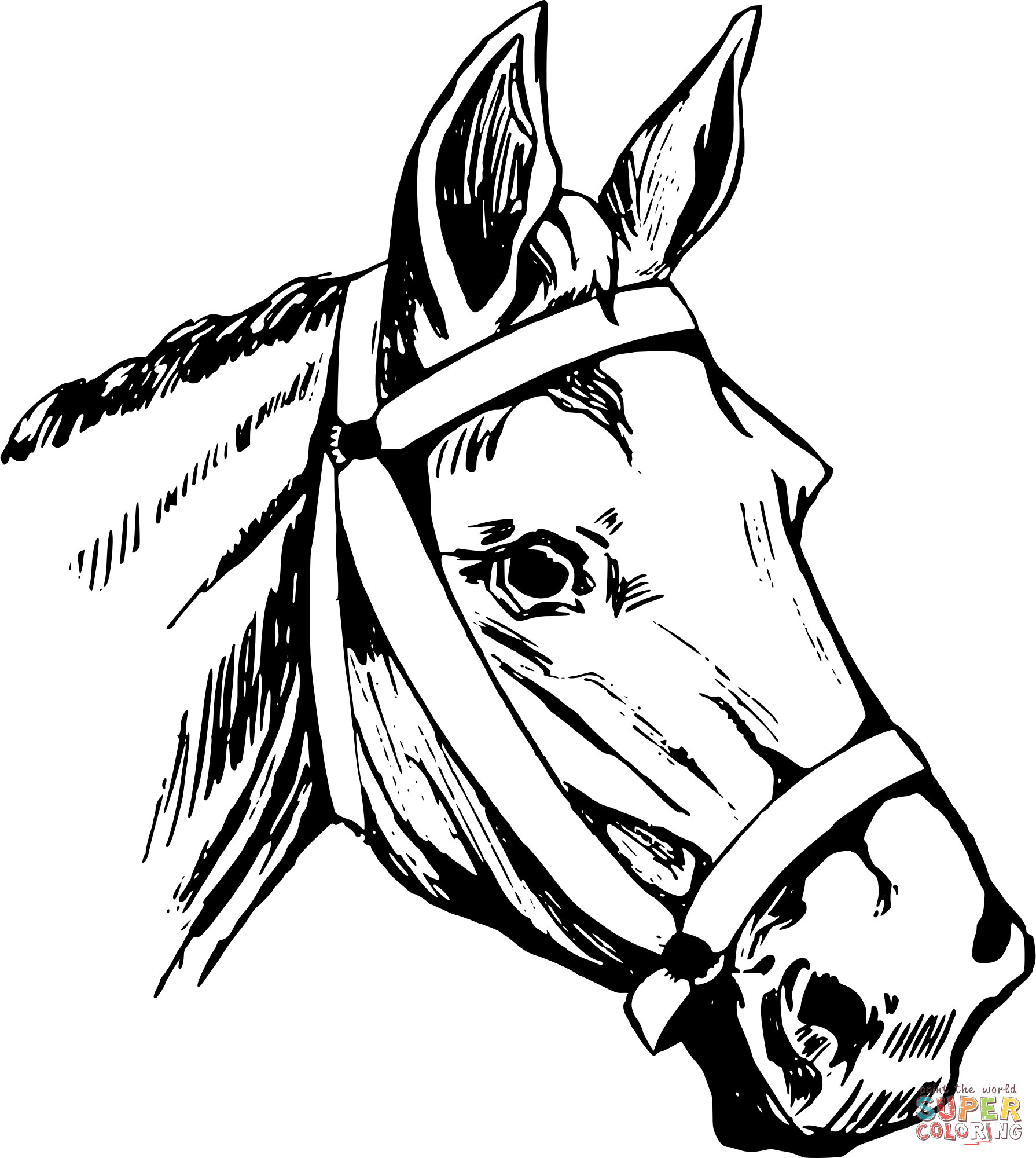 Vintage horse head coloring page free printable coloring pages