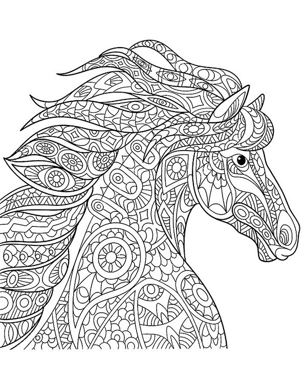 Coloring book for adults with horse picture to print for free