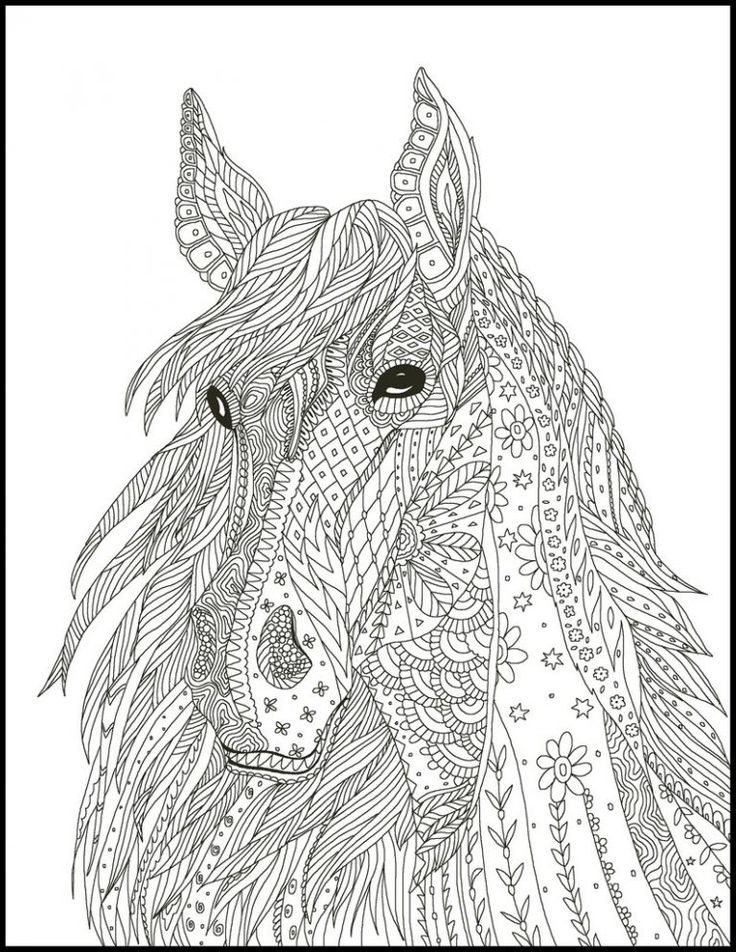 Horse coloring pages for adults
