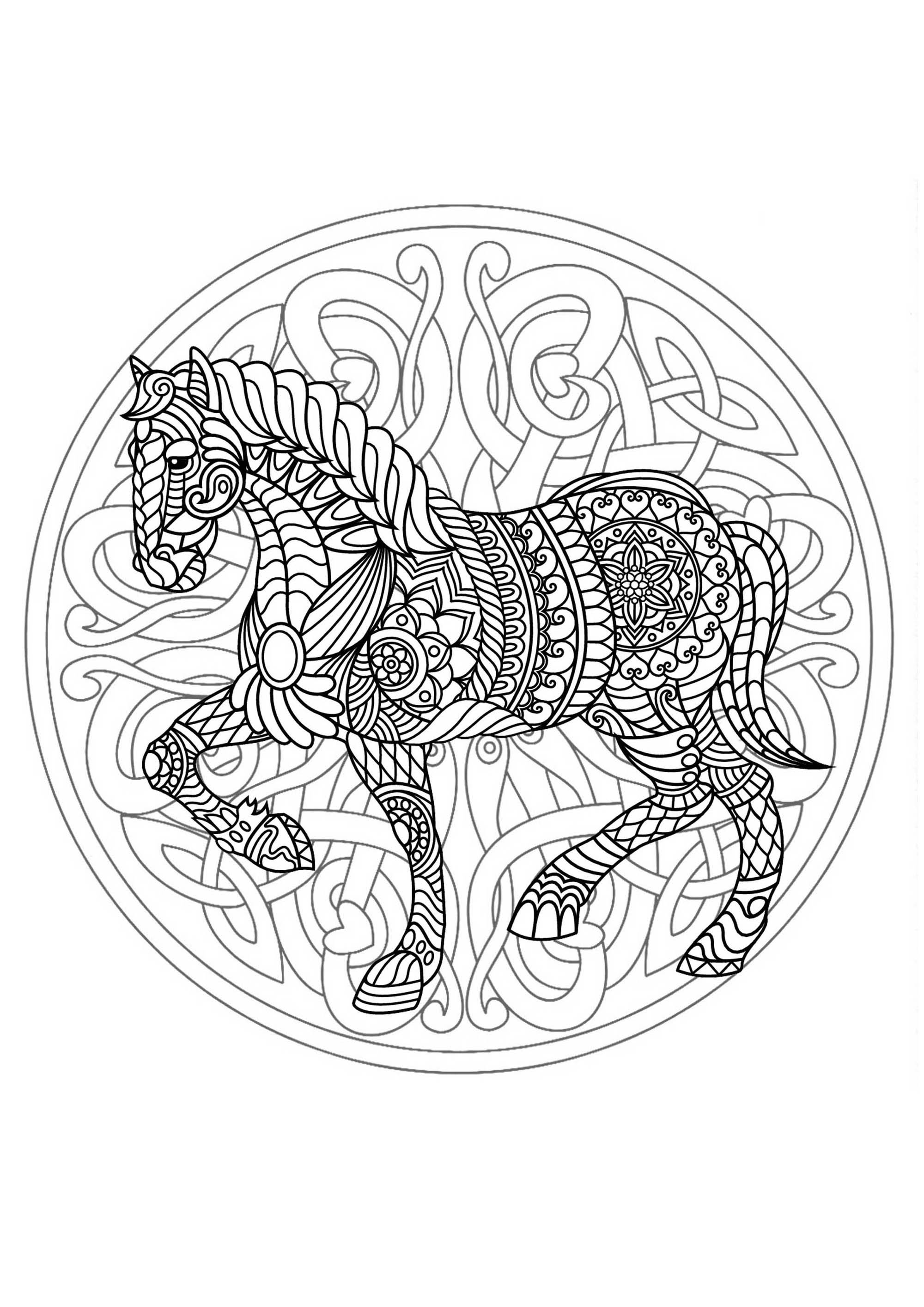 Superb horse mandala