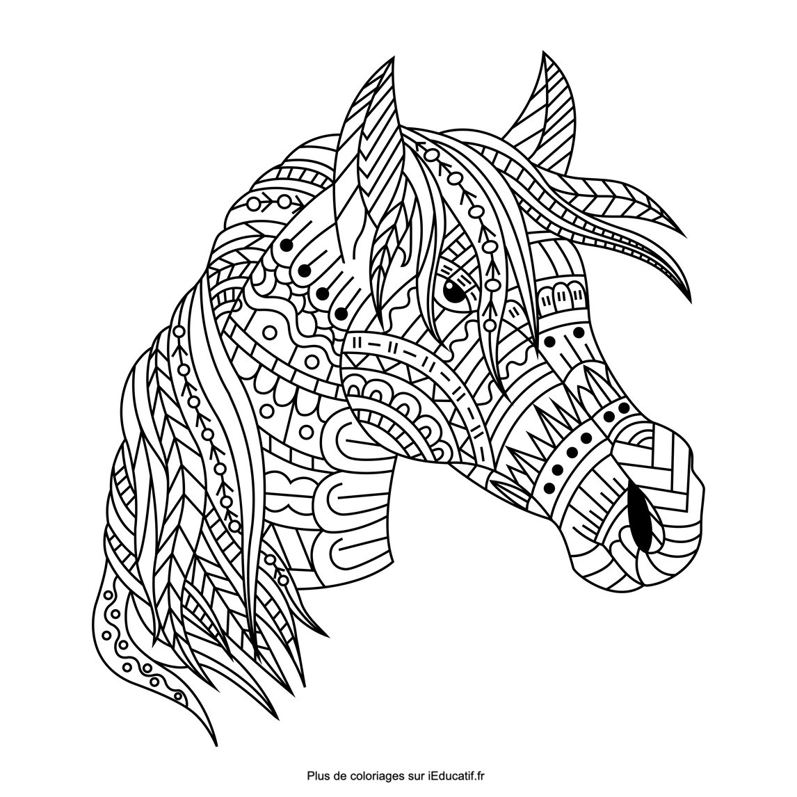 Mandala horse beautiful coloring pages