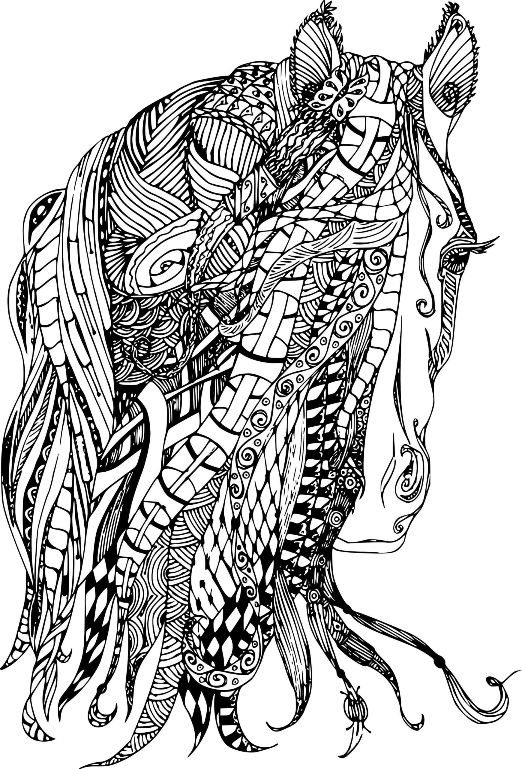 Horse face mandala coloring page