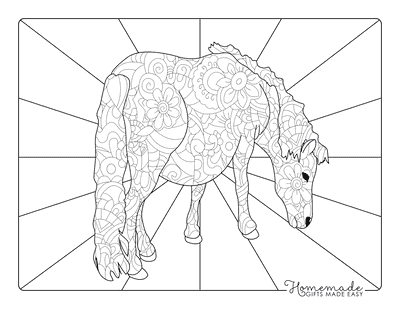 Best horse coloring pages for kids adults free printables