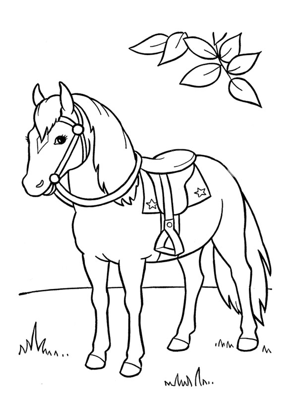 Coloring pages printable coloring page horse for kids