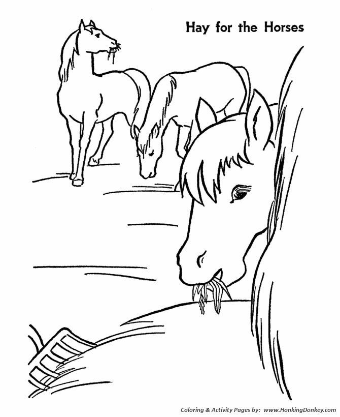 Horse coloring pages printable hay is for horses coloring page