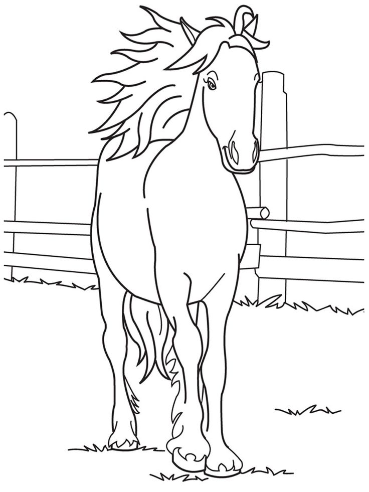 Free printable horse coloring pages for kids horse coloring pages horse coloring books animal coloring pages