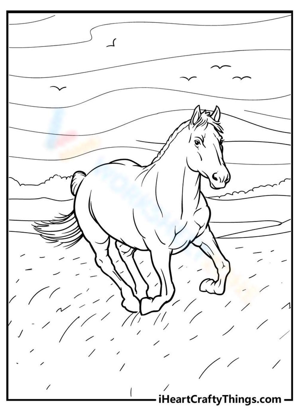 Free printable horse coloring pages for kids adults