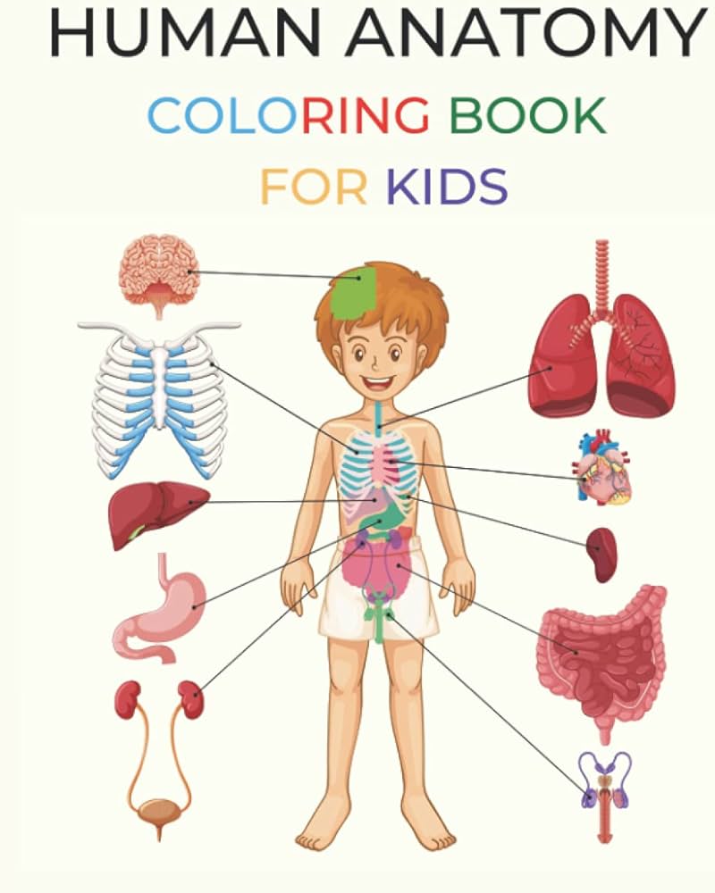 Human anatomy coloring book for kids human body anatomy and physiology abc coloring book gift idea for boys and girls ages and educational and kindergarten body parts spanish edition