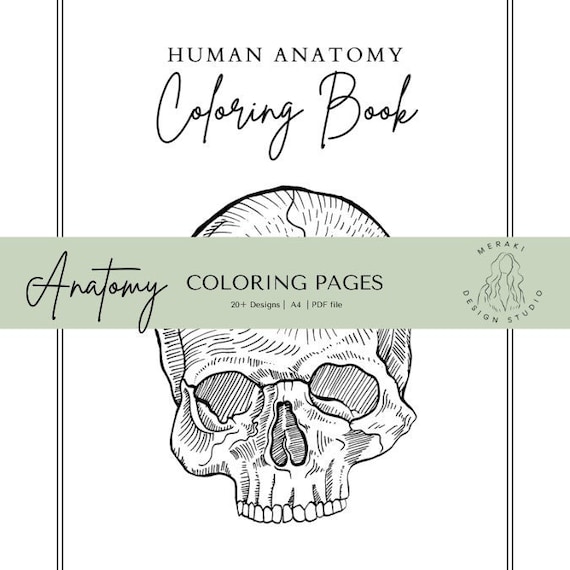 Anatomy coloring pages printable coloring book coloring pages bundle human anatomy study pages