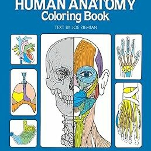 Stream access pdf ebook epub kindle human anatomy coloring book an entertaining and instructive gui by hirfes listen online for free on
