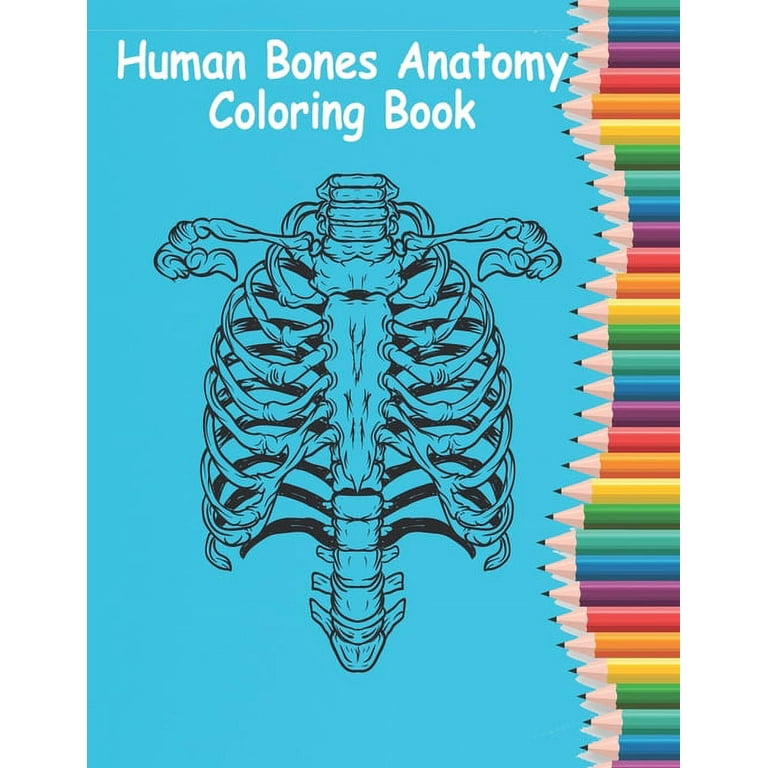 Human bones anatomy coloring book human anatomy coloring book for learn and color human bonesinch coloring book paperback
