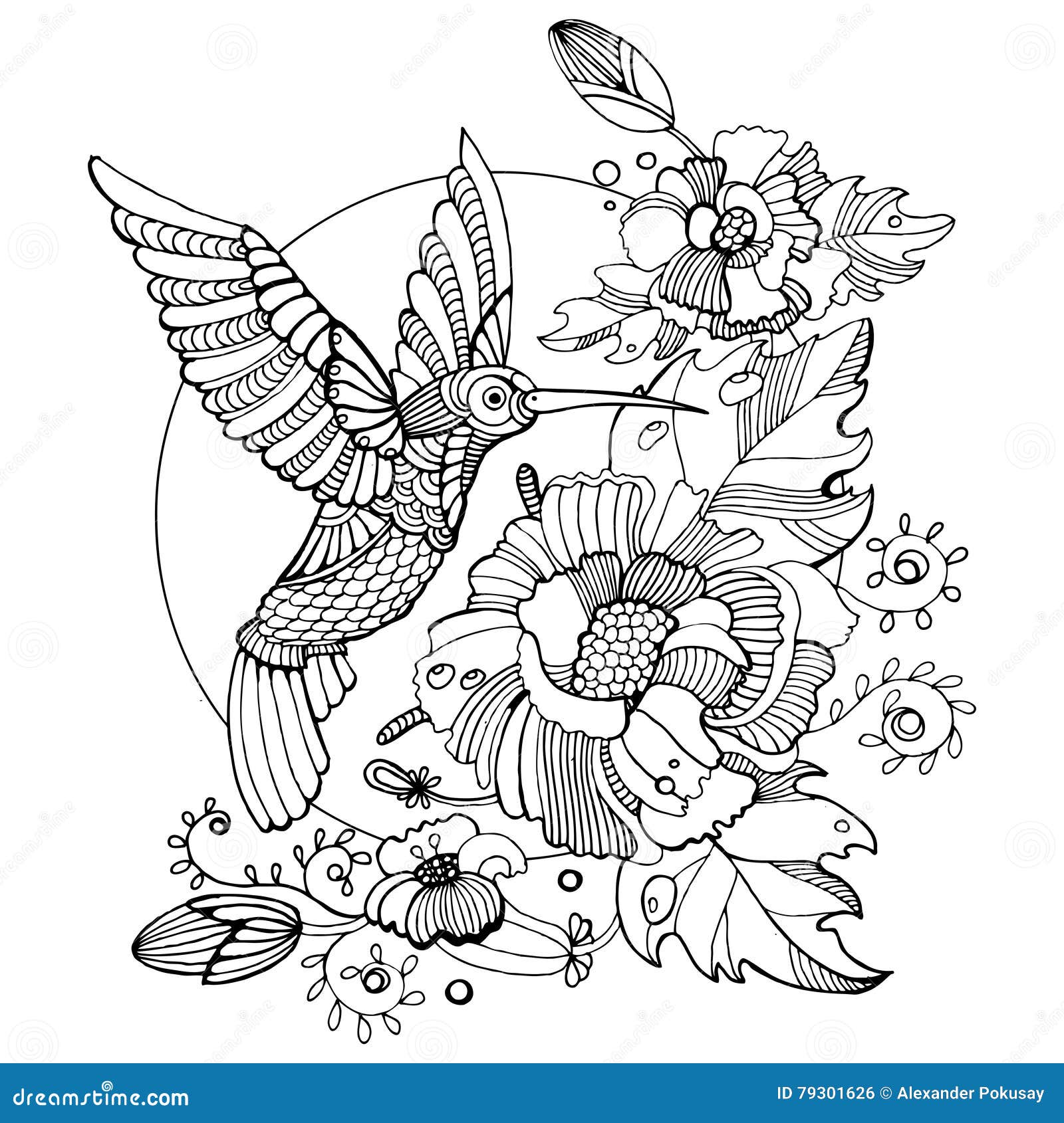 Hummingbird coloring book for adults vector stock vector