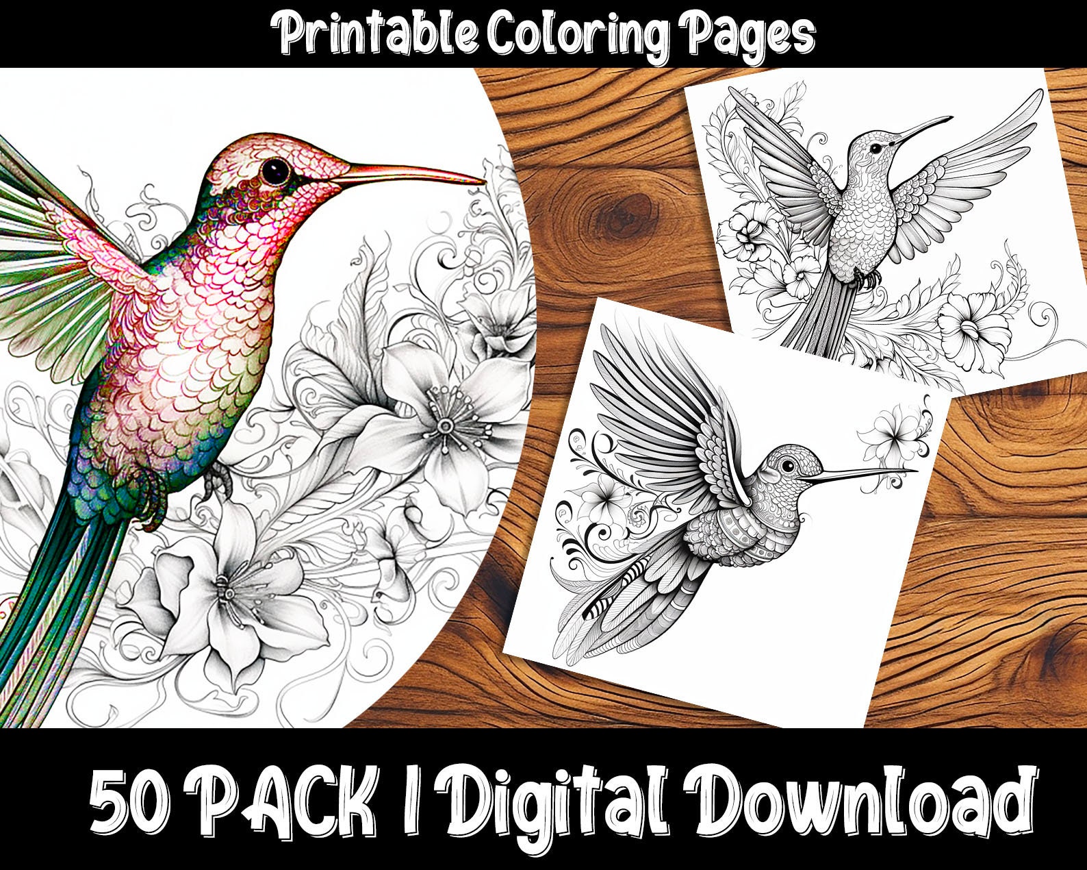 Hummingbird coloring