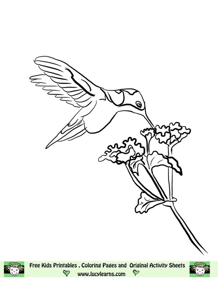 Image detail for