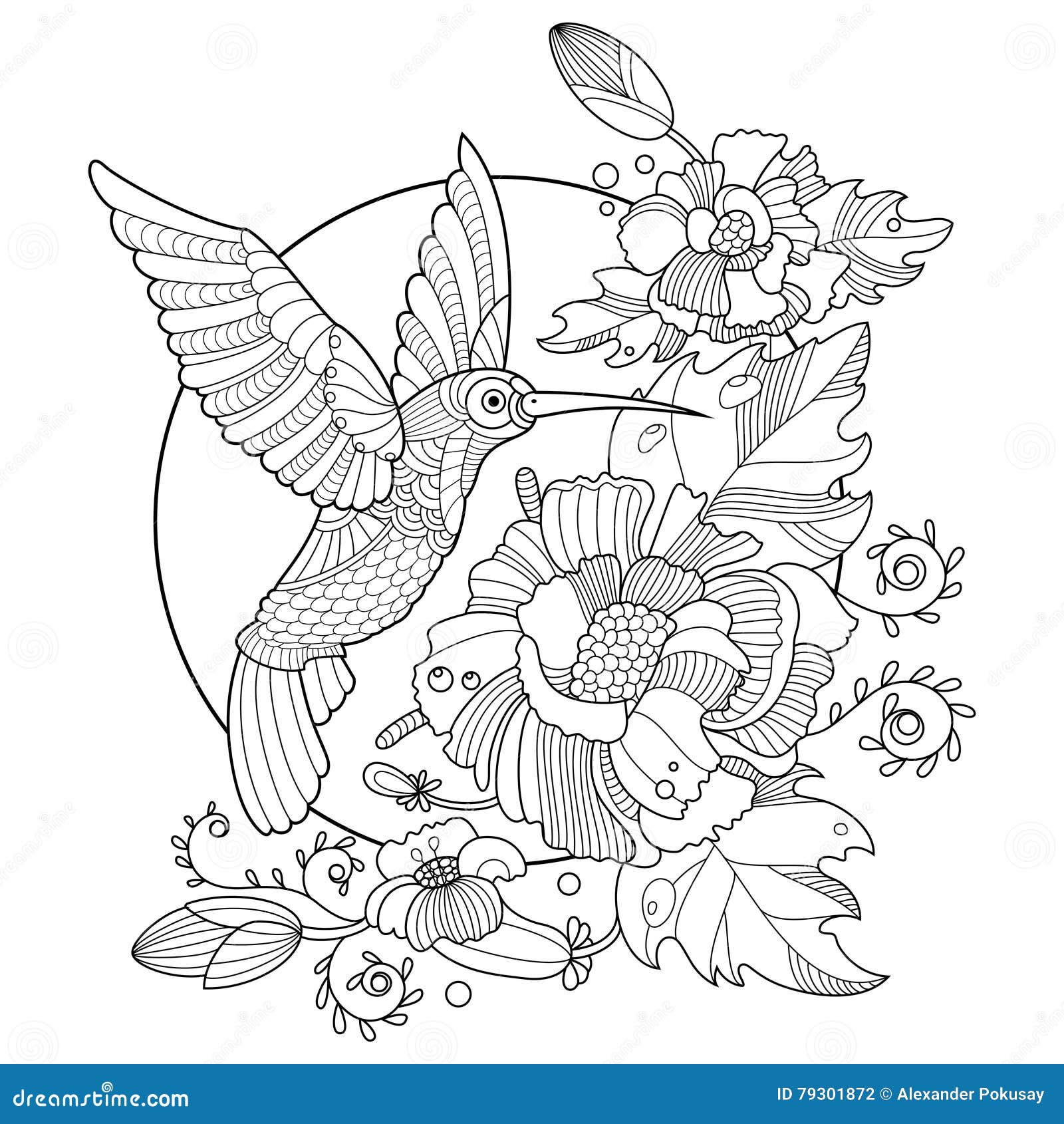 Hummingbird coloring book for adults vector stock vector