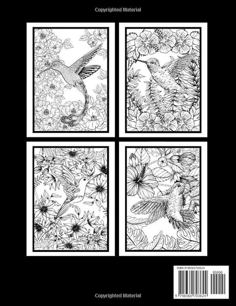 Hummingbird coloring book adult coloring book for stress relief relaxation and fun villar madison books