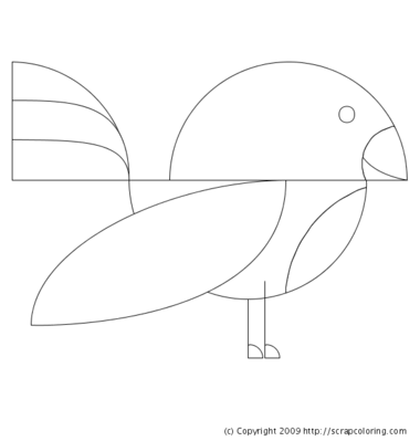 Hummingbird coloring page