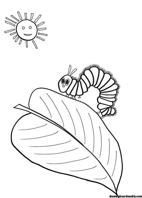 Very hungry caterpillar coloring page hungry caterpillar very hungry caterpillar butterfly coloring page