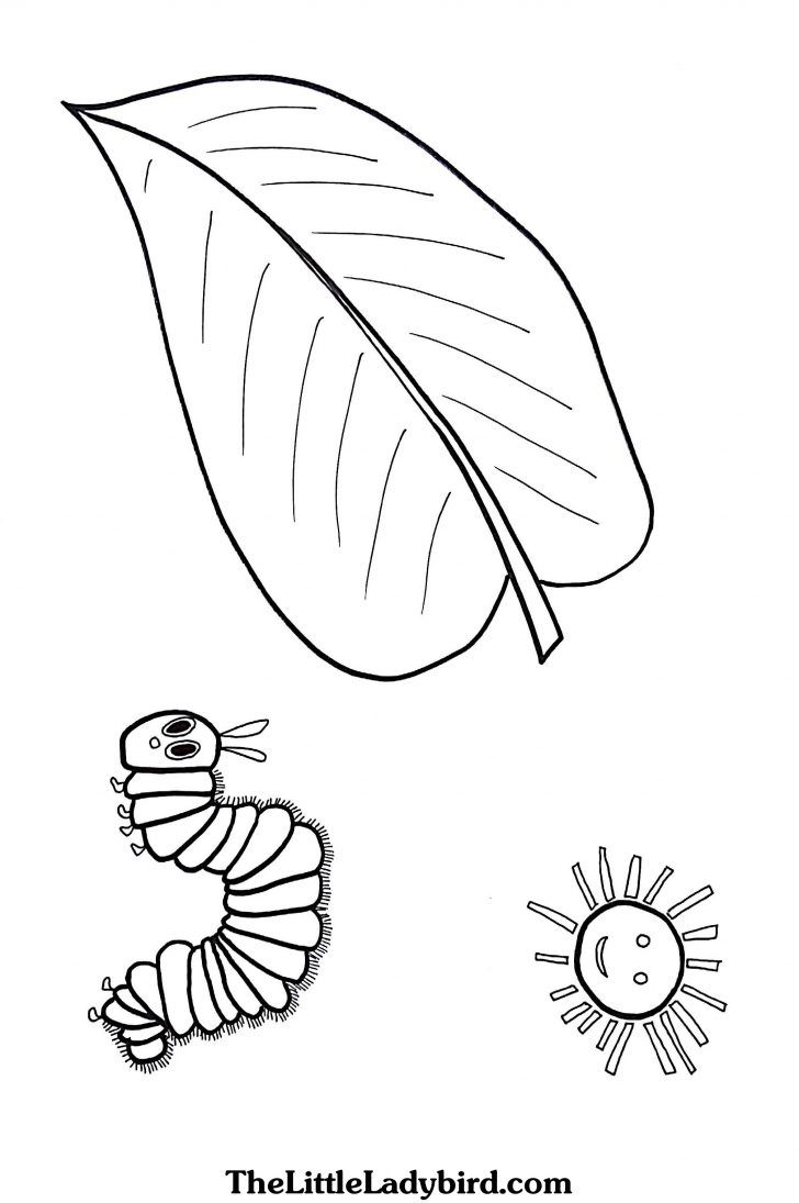 Awesome picture of hungry caterpillar coloring pages