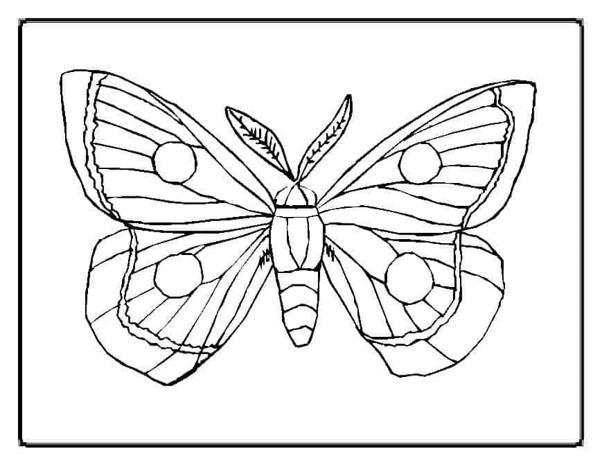 Your kids will love these butterfly coloring pages