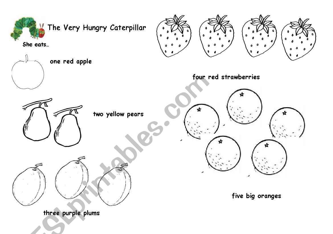 The very hungry caterpillar