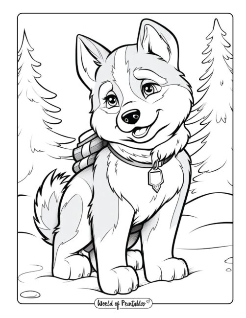 Dog coloring pages for kids adults