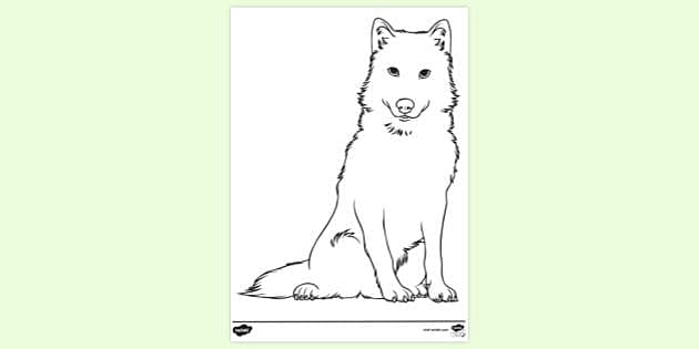 Colouring sheet colouring sheets teacher made