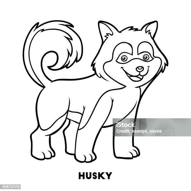 Coloring book dog breeds husky stock illustration
