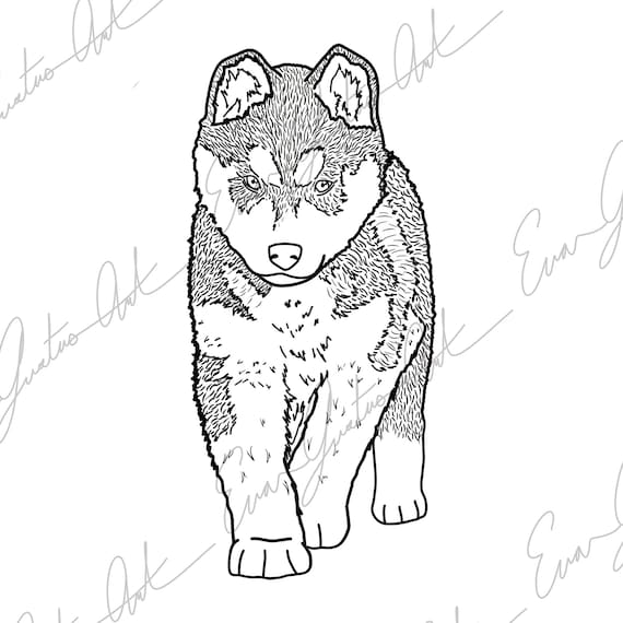 Siberian husky printable coloring page for children pdf