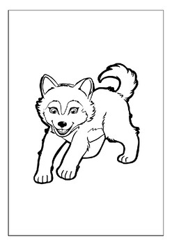 Cherished panions printable husky coloring pages collection for kids