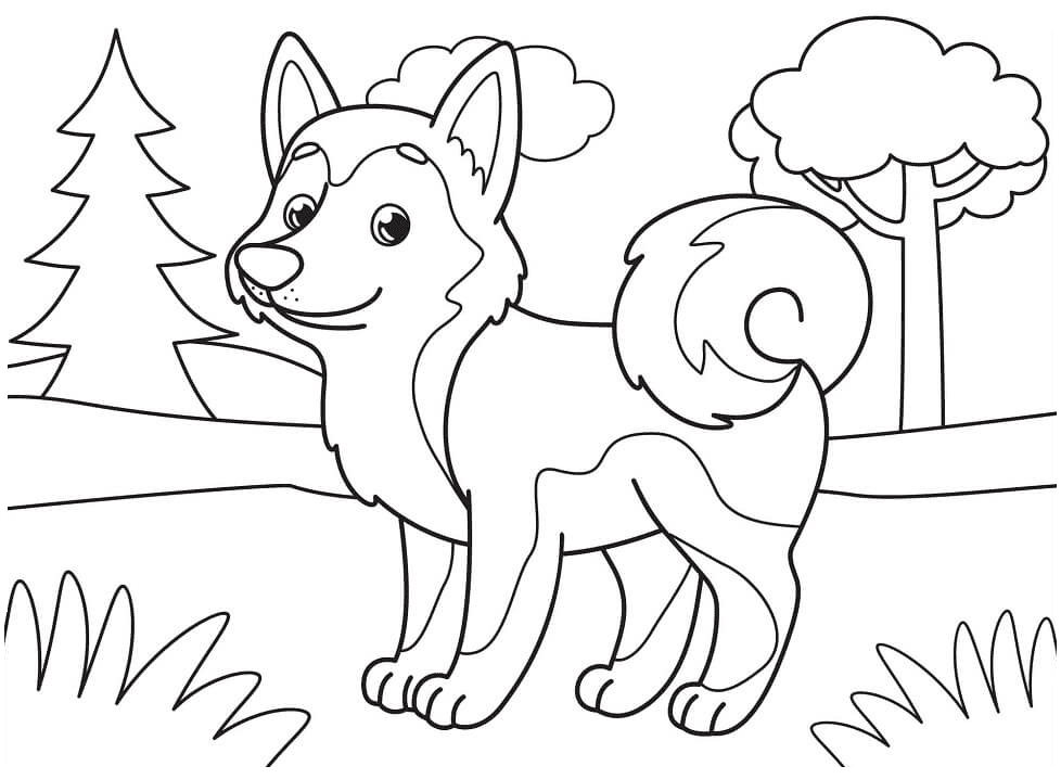 Adorable husky coloring page