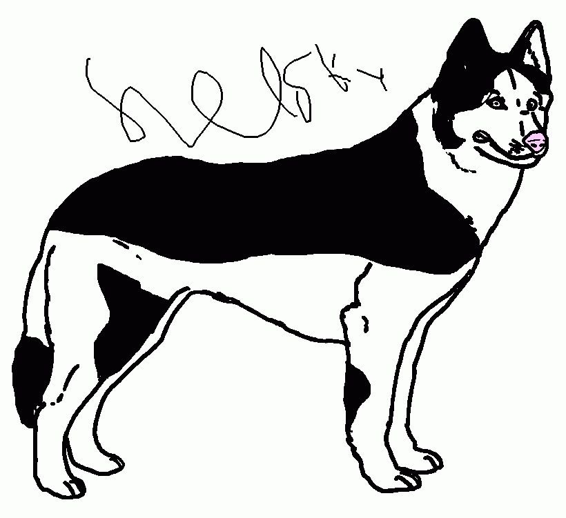 Husky coloring page printable husky