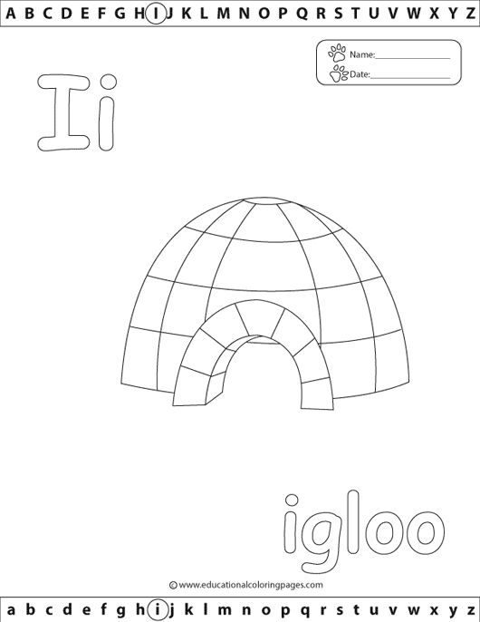 Iigloo