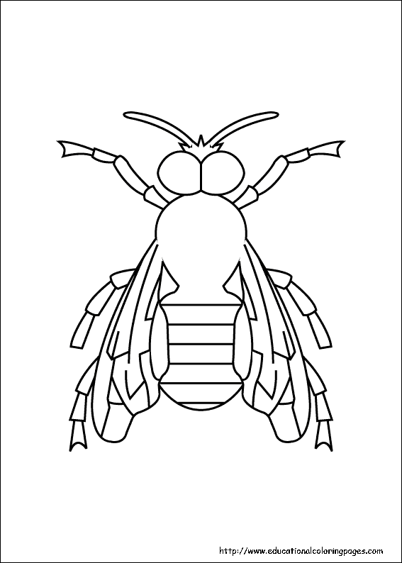 Insects coloring pages free for kids