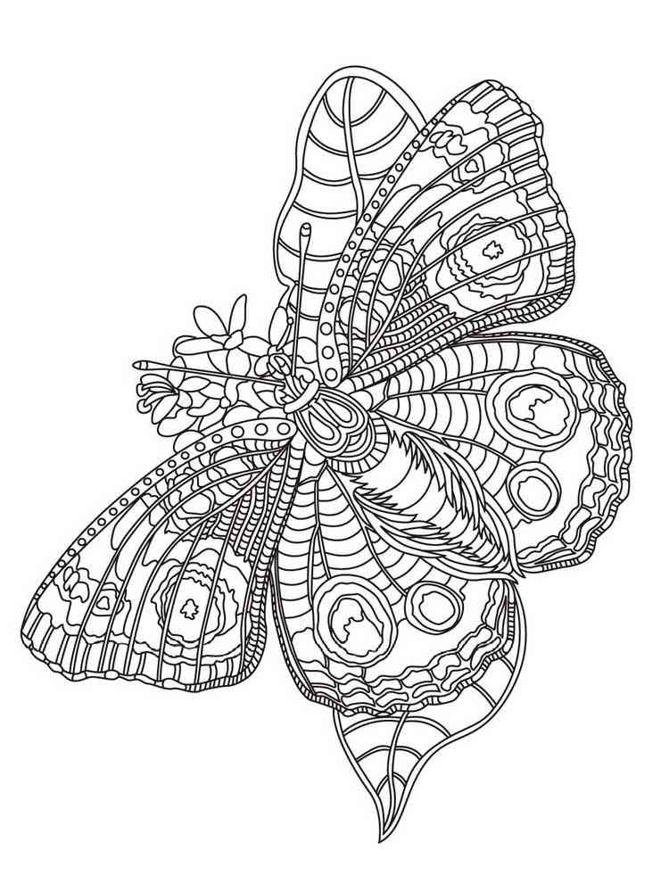 Insect coloring pages for adults