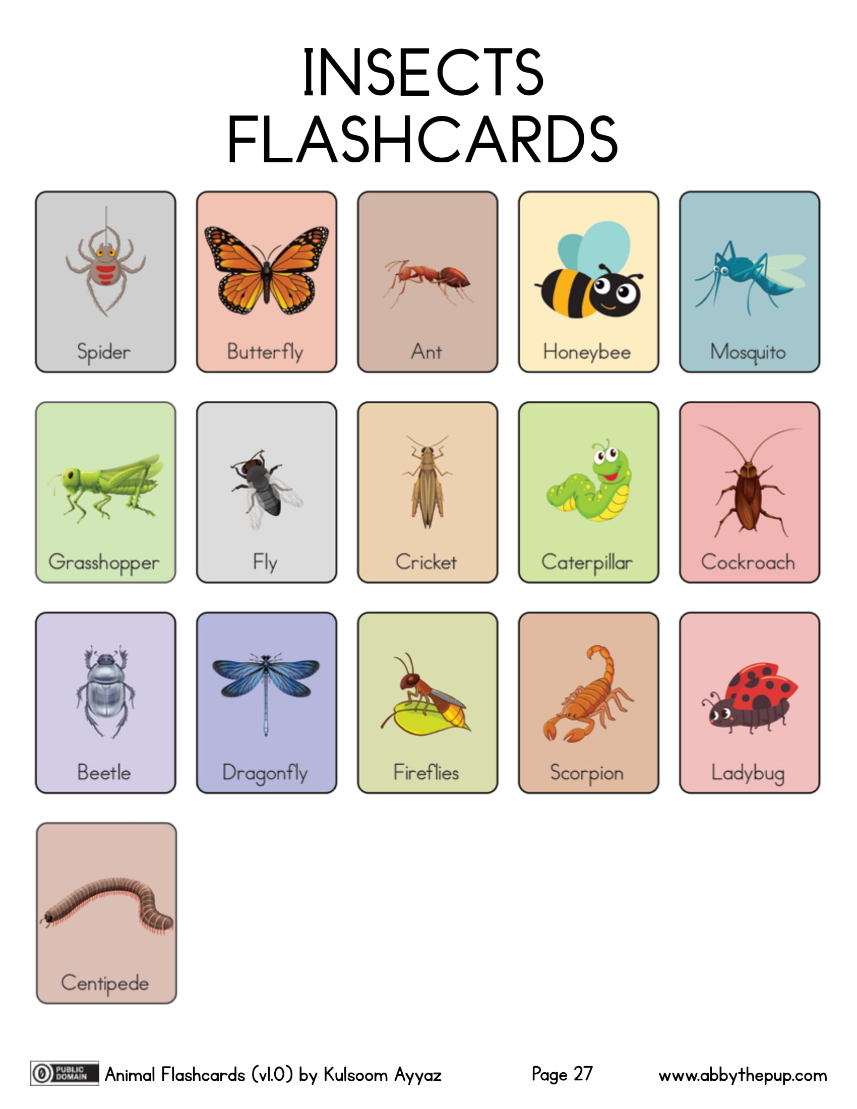 Insects flashcards free printable papercraft templates