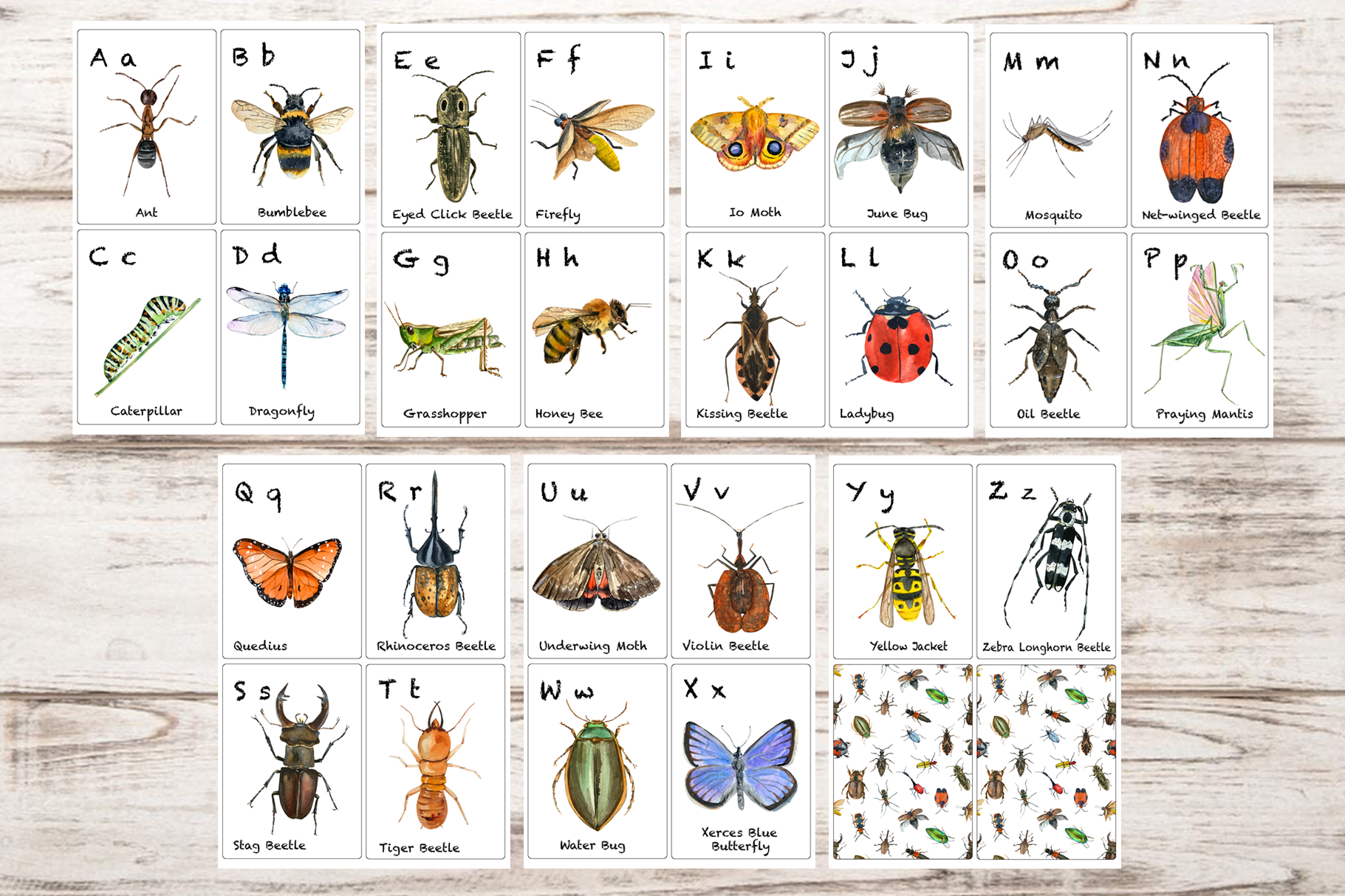 Watercolor abc insects flashcards by tatibordiu watercolor
