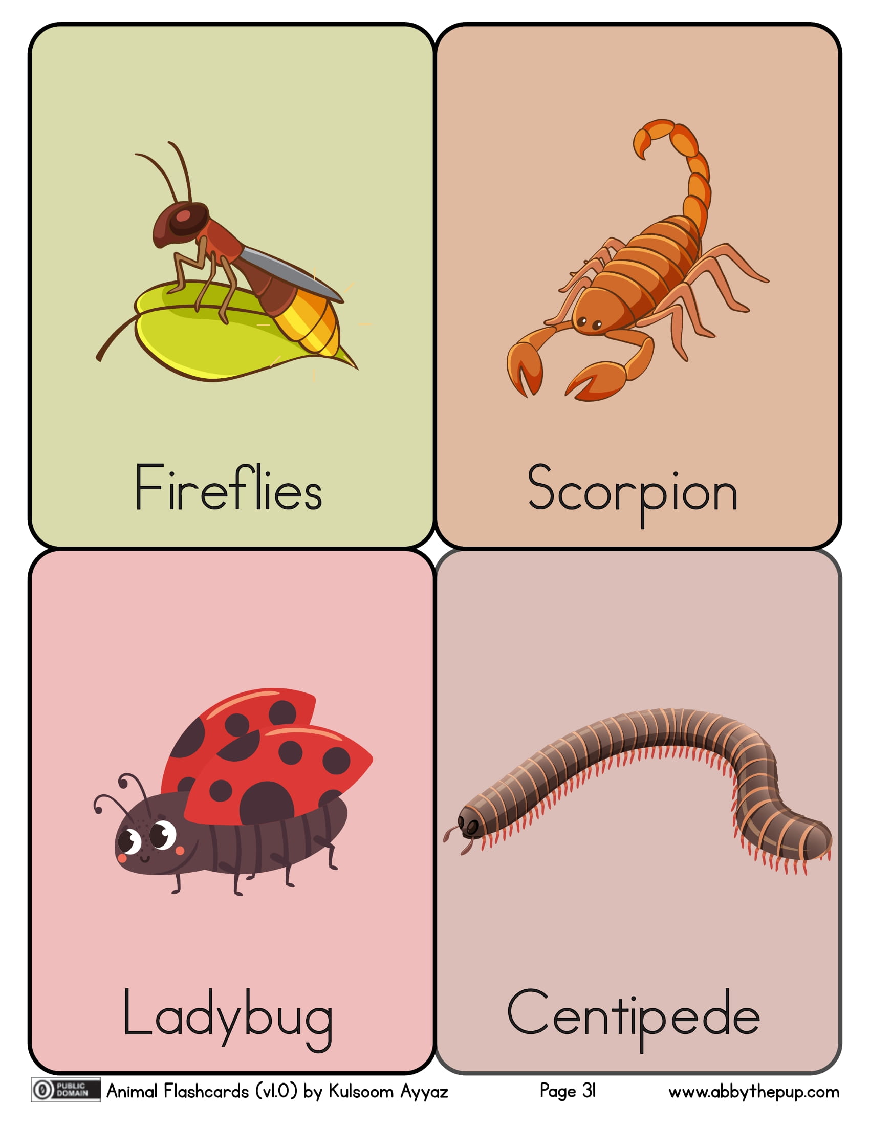 Insects flashcards free printable papercraft templates